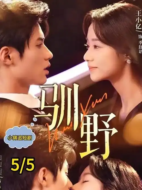 三体 电视剧 2023 杨磊